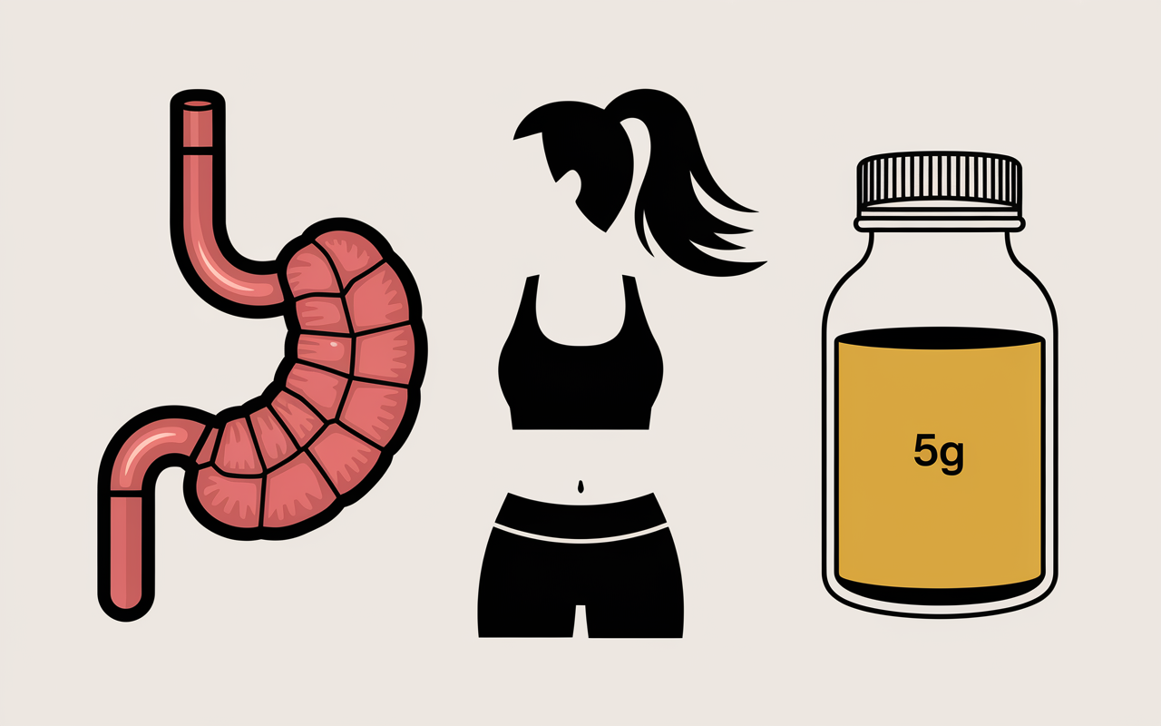 l-glutamine perte de poids tube digestif sportif