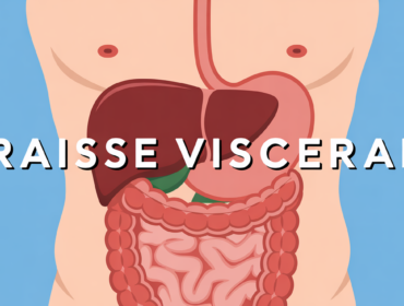 illustration perdre la graisse viscerale abdomen