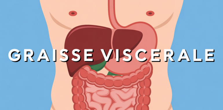 illustration perdre la graisse viscerale abdomen
