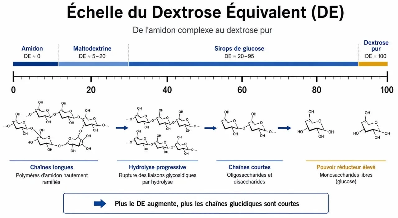 Infographie explicative du Dextrose Équivalent (DE) pour comprendre la maltodextrine