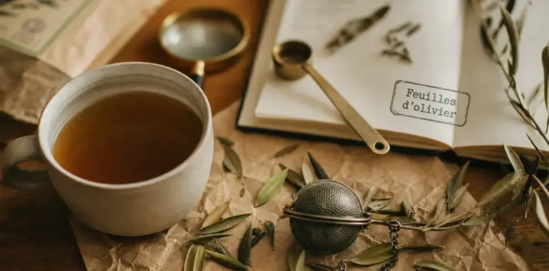 Feuilles d'olivier et perte de poids : tisane pour soutien glycémique