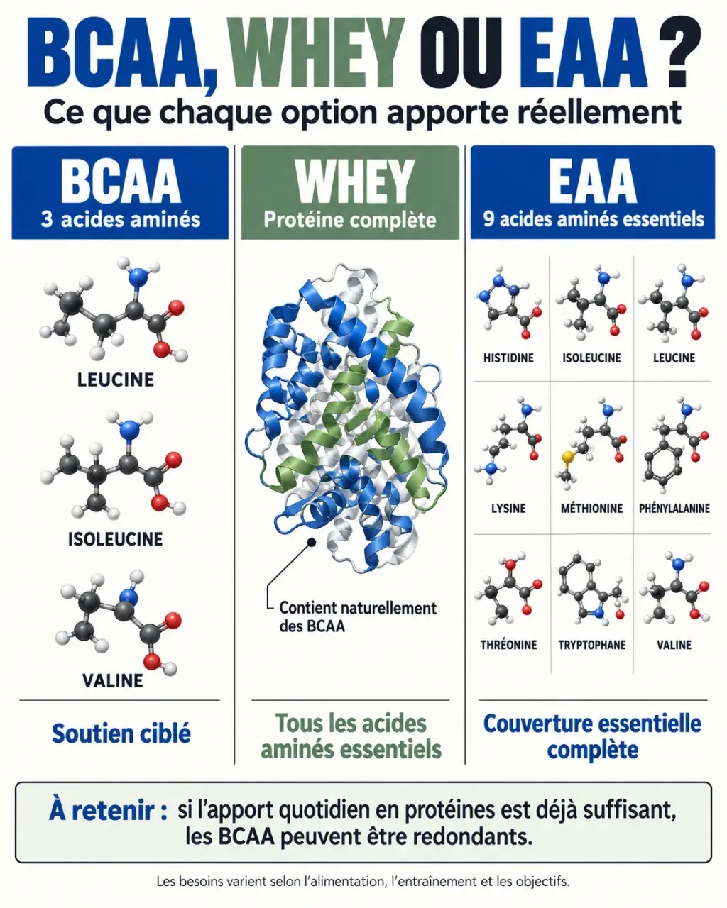 BCAA avantages musculaires : comparaison entre BCAA, whey et EAA